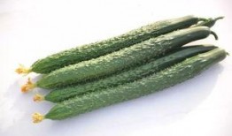 壶关最新吃瓜爆料,揭秘神秘事件背后的真相！