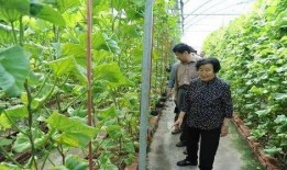 德阳吃瓜最新事件爆料是真的吗,最新爆料真相揭秘