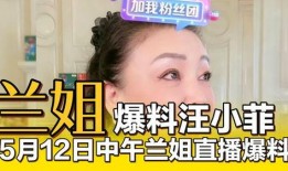 兰姐最新爆料新闻,最新爆料新闻背后的惊人真相