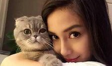 mmsz19猫咪官网最新版本爆料,全新功能与设计亮点抢先看”