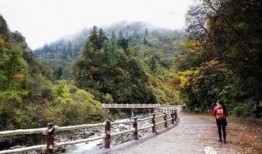 北关文化沟最新爆料,揭秘古文明遗迹的神秘面纱